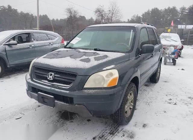 5FNYF18525B036191 2005 2005 Honda Pilot- Ex-L 2