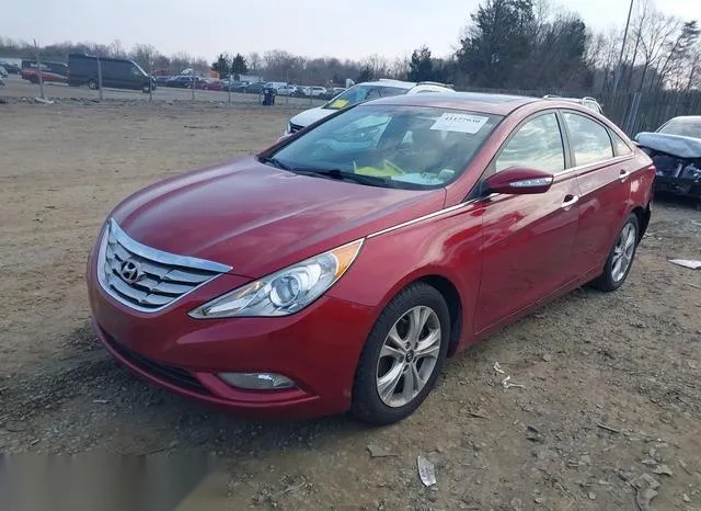 5NPEC4AC4DH515010 2013 2013 Hyundai Sonata- Limited 2