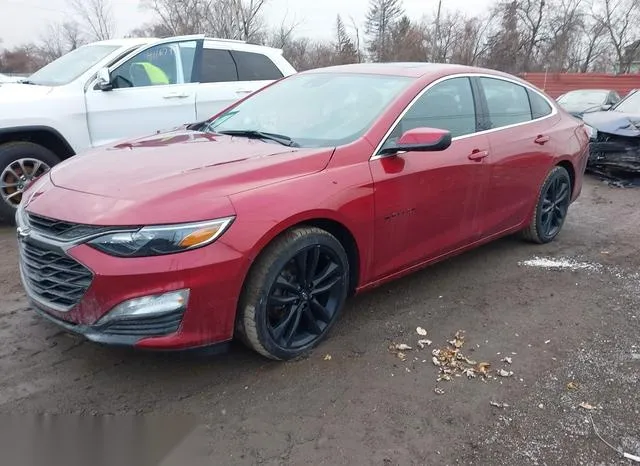 1G1ZD5ST8PF238579 2023 2023 Chevrolet Malibu- Fwd 1Lt 2