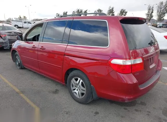 5FNRL38655B406910 2005 2005 Honda Odyssey- Ex-L 3