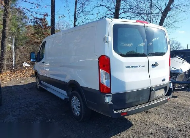 1FTYR1ZM5KKB21201 2019 2019 Ford Transit-250 3