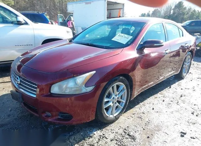 1N4AA5AP9BC835533 2011 2011 Nissan Maxima- 3-5 SV 2