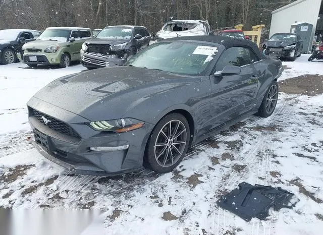 1FATP8UH0K5186741 2019 2019 Ford Mustang- Ecoboost Premium 2