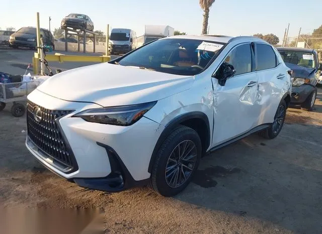 JTJGGCEZ6S2023225 2025 2025 Lexus NX 350- Premium 2