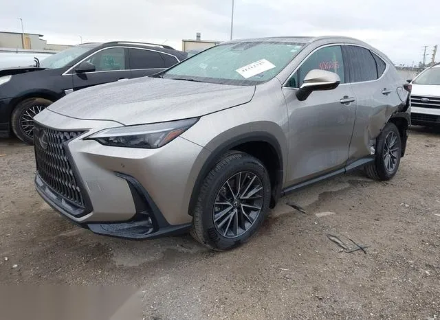 2T2GGCEZ1NC002402 2022 2022 Lexus NX 350- Premium 2