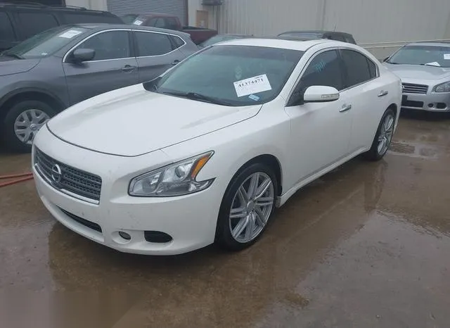 1N4AA51E49C836601 2009 2009 Nissan Maxima- 3-5 SV 2