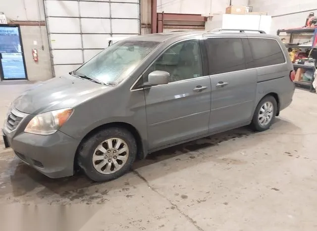 5FNRL38748B109589 2008 2008 Honda Odyssey- Ex-L 2