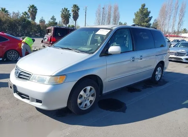 2HKRL18042H556407 2002 2002 Honda Odyssey- Ex-L 2