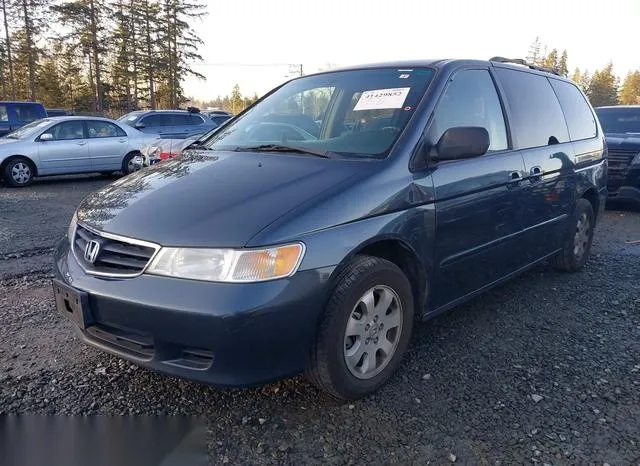 5FNRL189X4B087324 2004 2004 Honda Odyssey- Ex-L 2