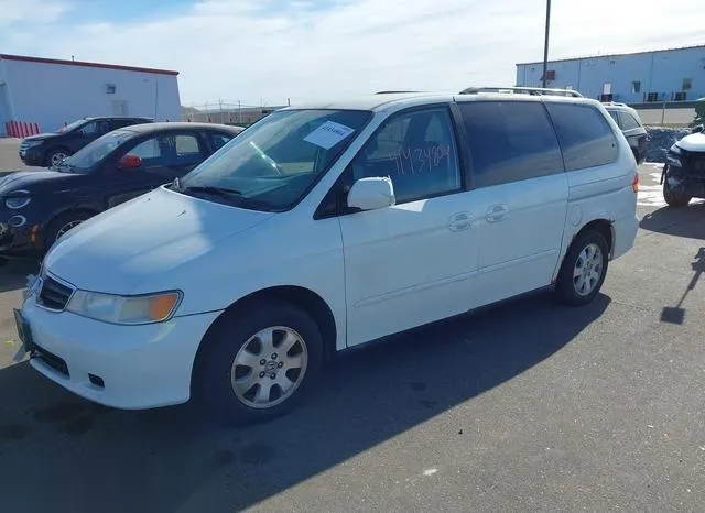 5FNRL18043B048244 2003 2003 Honda Odyssey- Ex-L 2