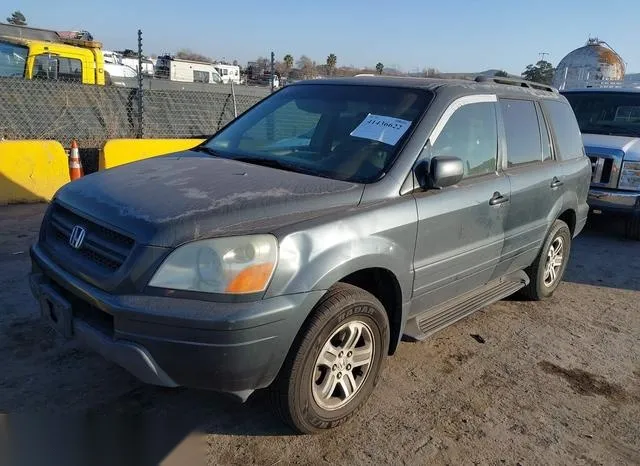 5FNYF18595B026502 2005 2005 Honda Pilot- Ex-L 2