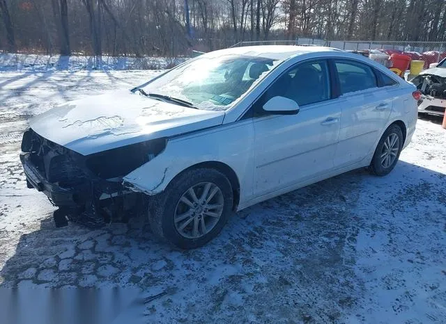 5NPE24AF5GH385997 2016 2016 Hyundai Sonata 2