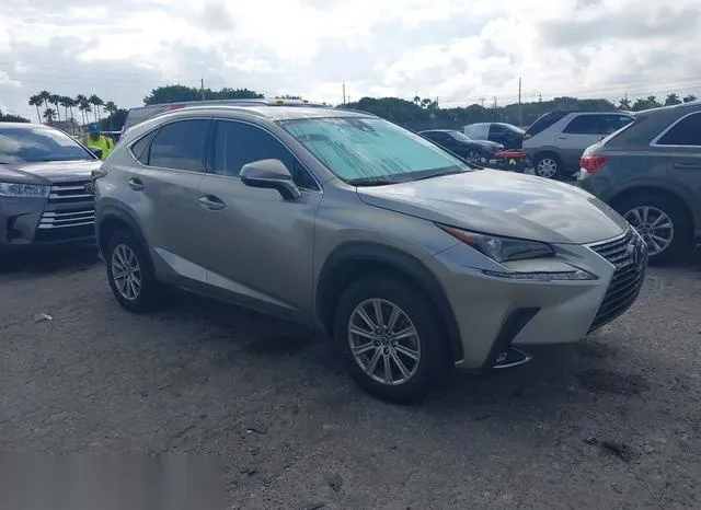 JTJDARBZ0M5034427 2021 2021 Lexus NX 300 1