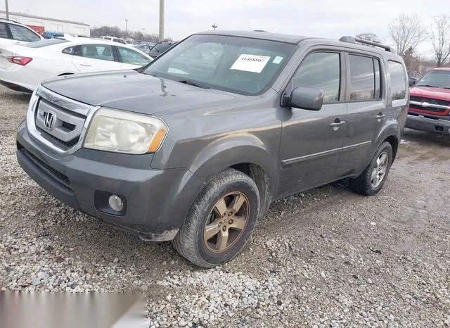 5FNYF48539B016491 2009 2009 Honda Pilot- Ex-L 2