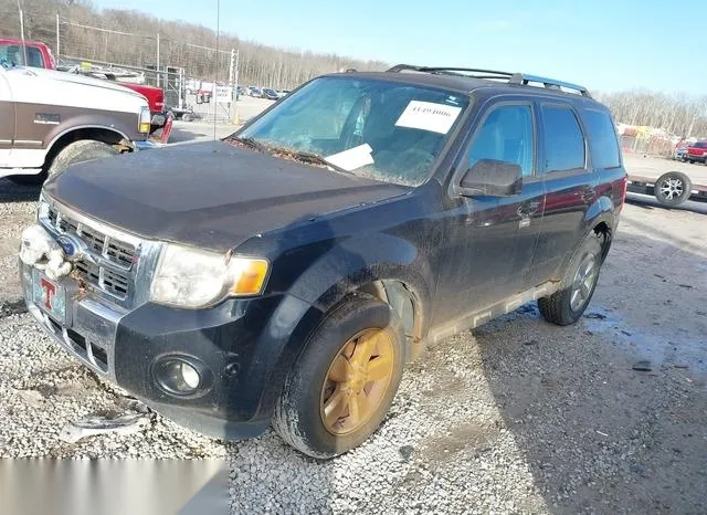 1FMCU0EGXBKA25353 2011 2011 Ford Escape- Limited 2