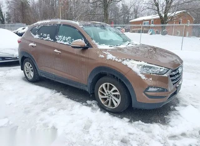 KM8J3CA24GU024961 2016 2016 Hyundai Tucson- Eco 1