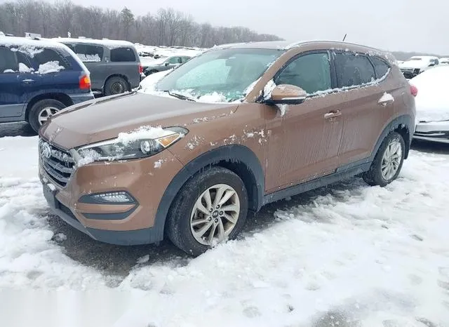 KM8J3CA24GU024961 2016 2016 Hyundai Tucson- Eco 2