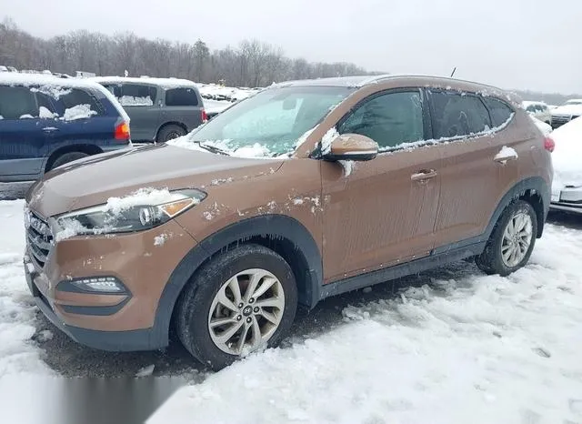 KM8J3CA24GU024961 2016 2016 Hyundai Tucson- Eco 6