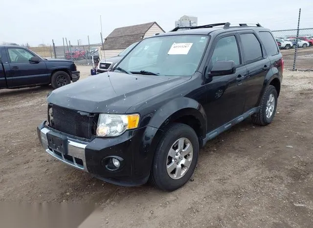 1FMCU0EG3BKB51683 2011 2011 Ford Escape- Limited 2