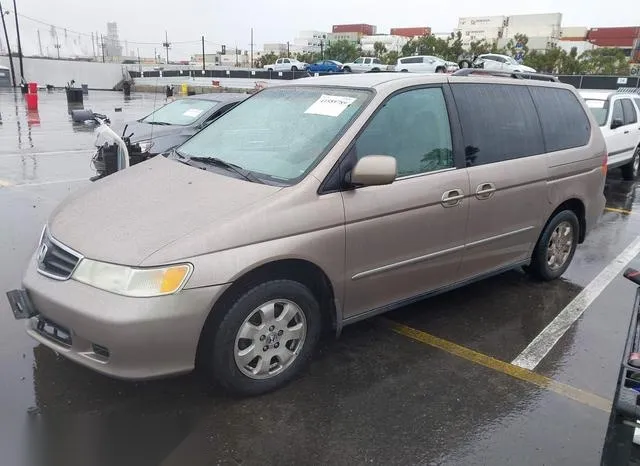 5FNRL18943B104763 2003 2003 Honda Odyssey- Ex-L 2