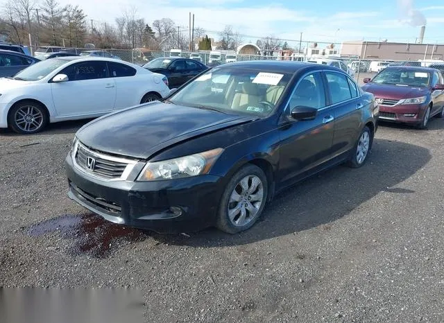 1HGCP3F83AA003995 2010 2010 Honda Accord- Exl 2