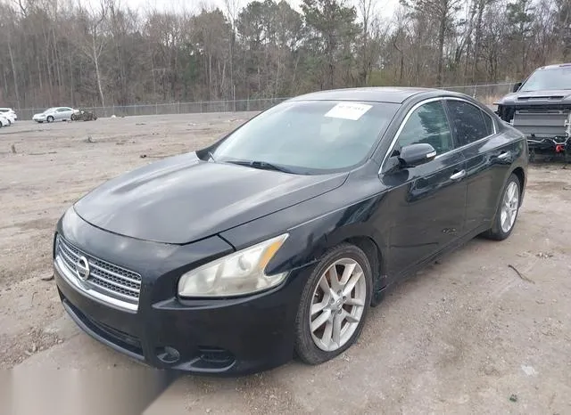 1N4AA5AP7BC815975 2011 2011 Nissan Maxima- 3-5 SV 2