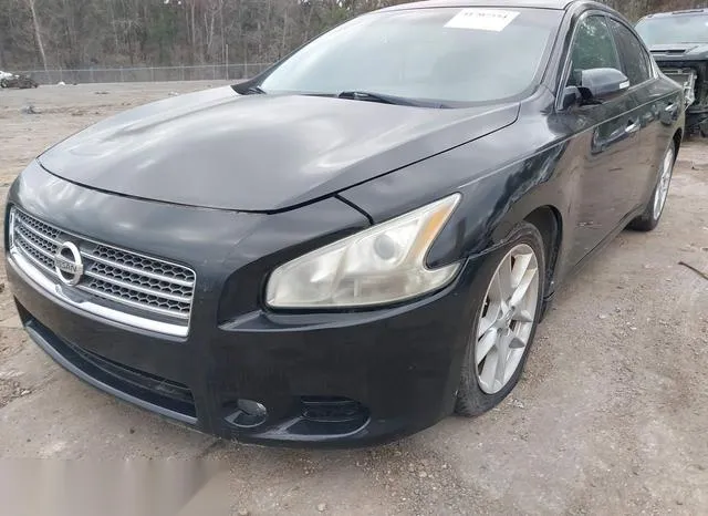 1N4AA5AP7BC815975 2011 2011 Nissan Maxima- 3-5 SV 6