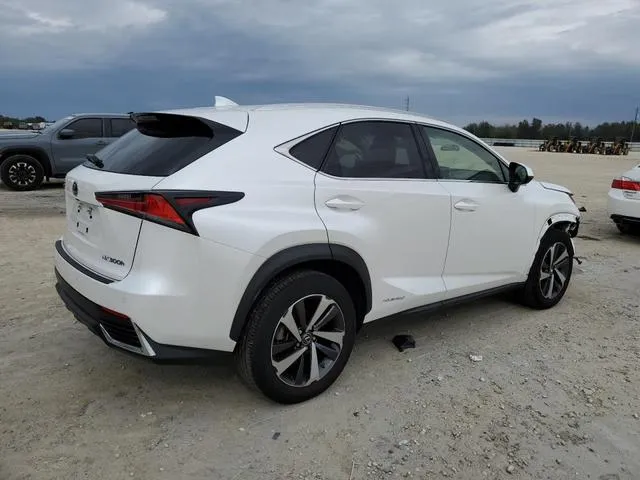 JTJGJRDZ8L5003001 2020 2020 Lexus NX- 300H 3