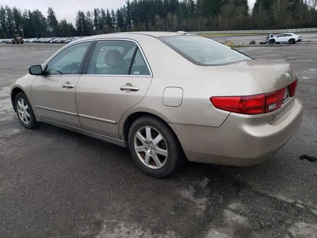 1HGCM66565A015497 2005 2005 Honda Accord- EX 2