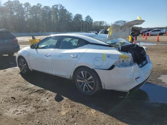 1N4AA6DV2LC367436 2020 2020 Nissan Maxima- SL 2