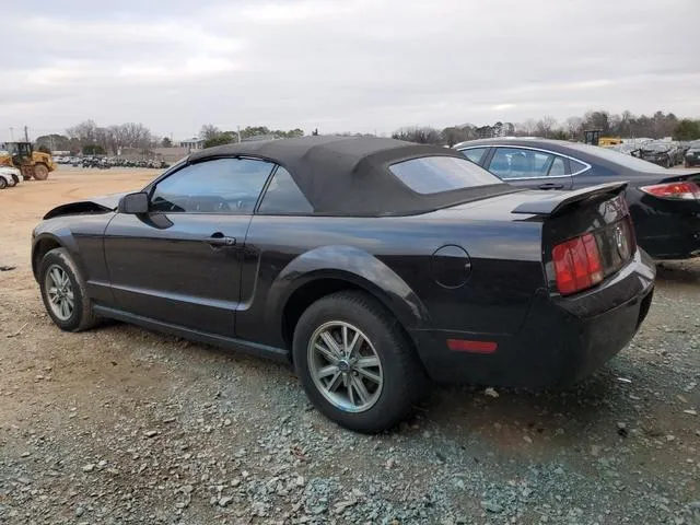 1ZVHT84N955242534 2005 2005 Ford Mustang 2