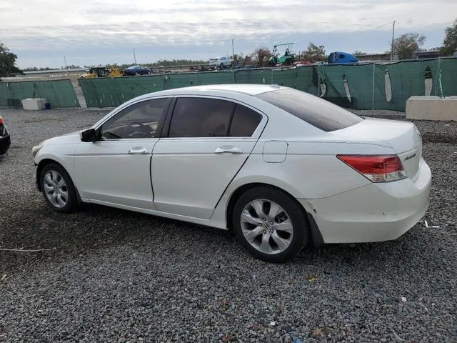 5KBCP3F83AB017242 2010 2010 Honda Accord- Exl 2