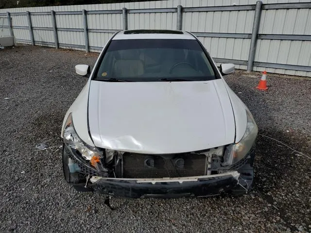 5KBCP3F83AB017242 2010 2010 Honda Accord- Exl 5