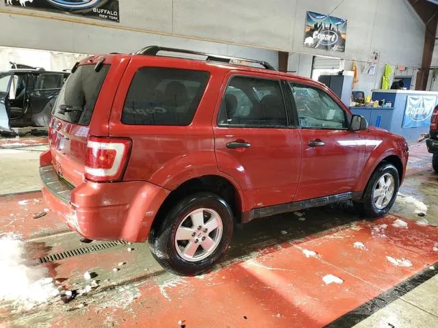 1FMCU9D79BKB21268 2011 2011 Ford Escape- Xlt 3