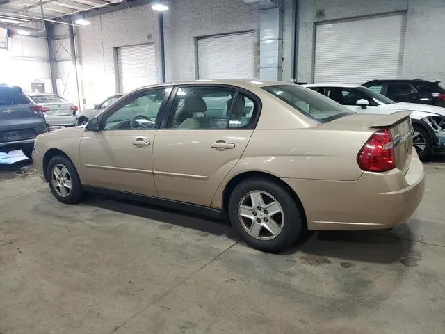 1G1ZT54815F173826 2005 2005 Chevrolet Malibu- LS 2