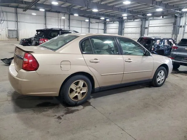 1G1ZT54815F173826 2005 2005 Chevrolet Malibu- LS 3