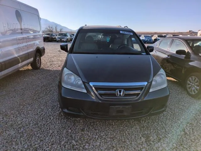 5FNRL38725B100031 2005 2005 Honda Odyssey- Exl 5