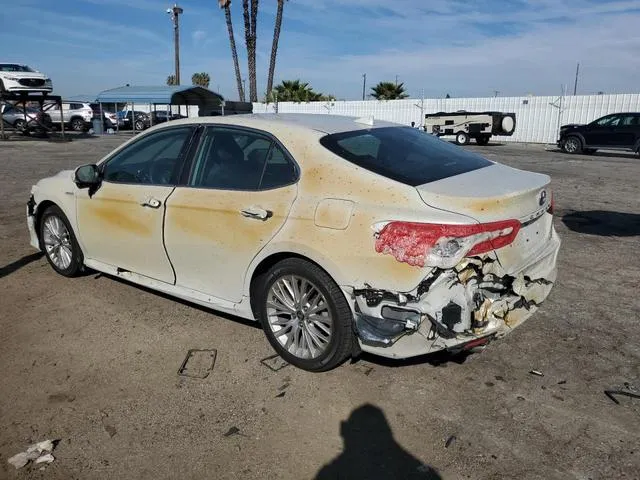 4T1F31AK5LU545823 2020 2020 Toyota Camry- Xle 2