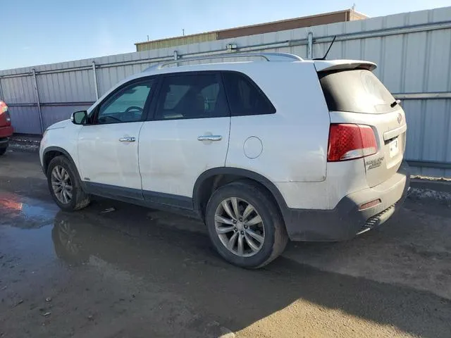 5XYKUDA22BG041666 2011 2011 KIA Sorento- EX 2