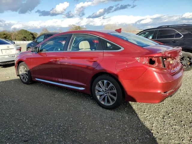 5NPE34AF8GH396411 2016 2016 Hyundai Sonata- Sport 2