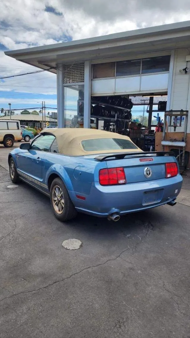 1ZVFT84N055179198 2005 2005 Ford Mustang 2