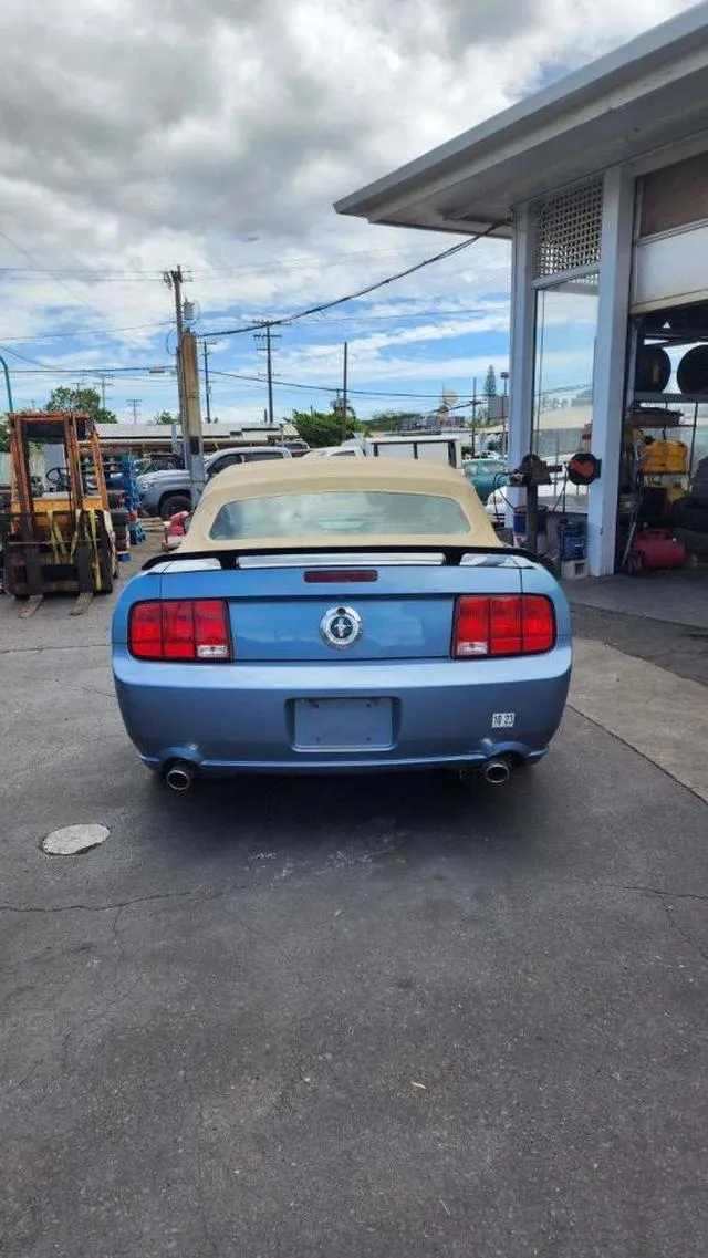 1ZVFT84N055179198 2005 2005 Ford Mustang 6