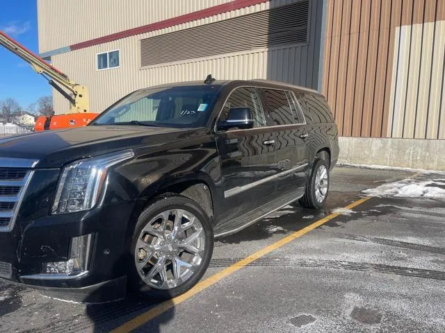 1GYS4HKJ9LR120164 2020 2020 Cadillac Escalade- Esv Luxury 2