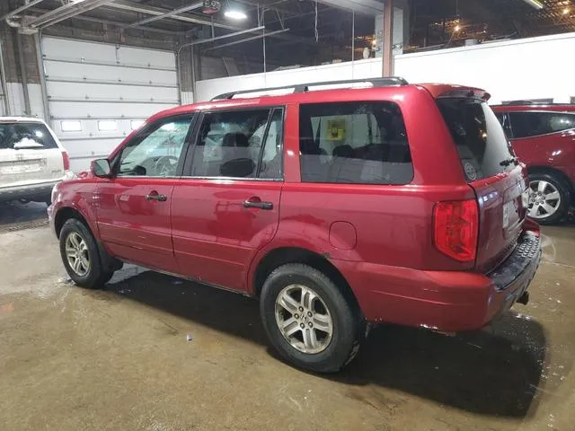 5FNYF18515B011444 2005 2005 Honda Pilot- Exl 2