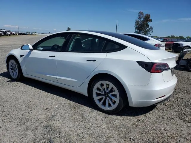 5YJ3E1EA4PF460053 2023 2023 Tesla MODEL 3 2