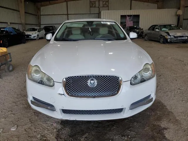 SAJWA06B69HR42893 2009 2009 Jaguar XF- Premium Luxury 5