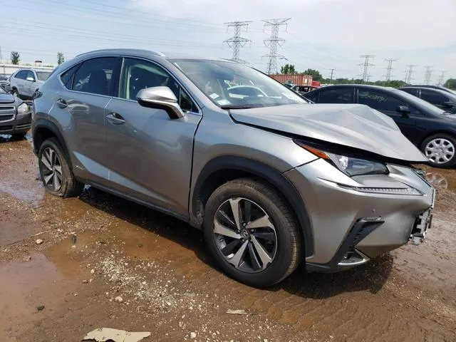 JTJGJRDZ8L2135094 2020 2020 Lexus NX- 300H 4