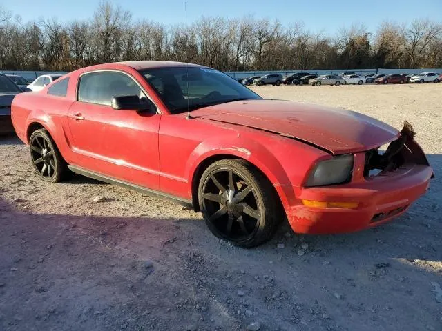 1ZVFT80N165176852 2005 2005 Ford Mustang 4