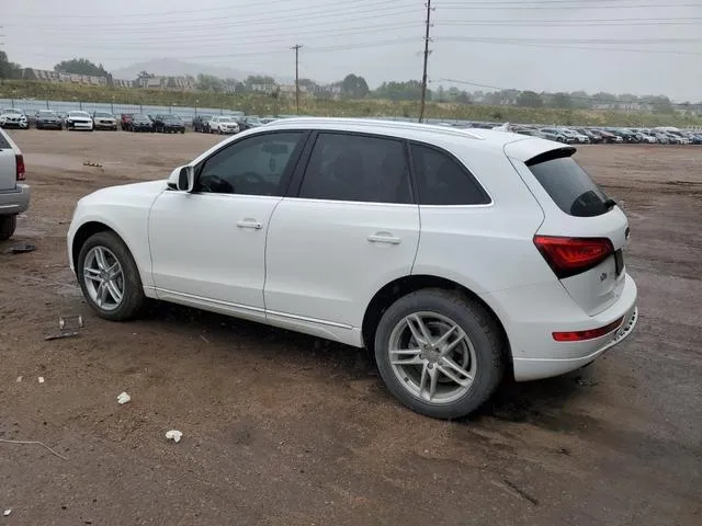 WA1LFAFP6DA043564 2013 2013 Audi Q5- Premium Plus 2