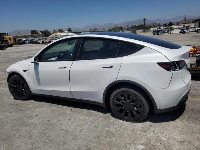 5YJYGDEE8MF262978 2021 2021 Tesla MODEL Y 2